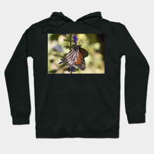 Monarchs of Mexico Hoodie